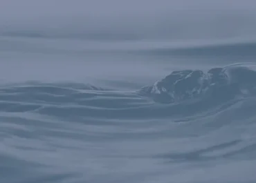 𝗦𝗜𝗖𝗢𝗡𝗔𝗥𝗔 𝗽𝗿𝗲𝘀𝗲𝗻𝘁𝗲 𝗲𝗻 𝗲𝗹 𝟮° 𝗙𝗼𝗿𝗼 𝗙𝗹𝘂𝘃𝗶𝗮𝗹 𝗦𝘂𝗱𝗮𝗺𝗲𝗿𝗶𝗰𝗮𝗻𝗼